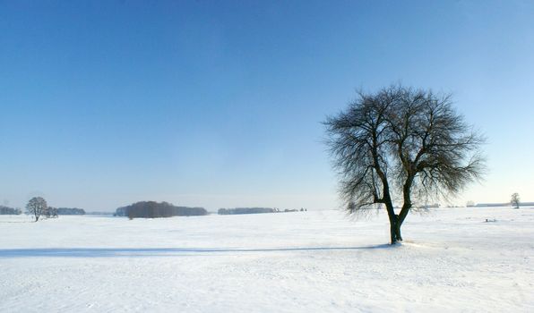 February in Poland