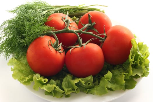 tomato with lettuce and dill