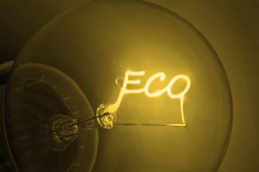 Close up on illuminated yellow light bulb filament spelling the word "Eco".