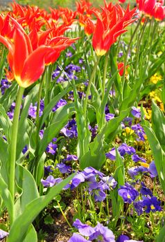 Flower bed