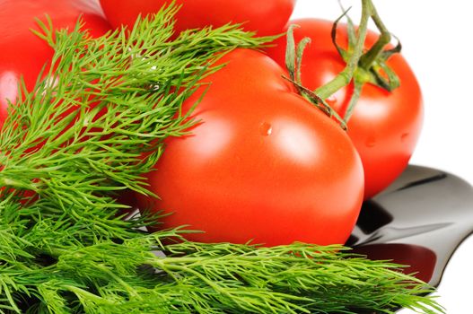 Tomatoes on a black plate with dill. Isolated on white.