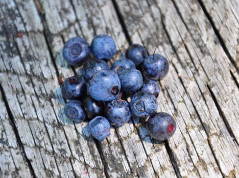 Wild bilberries on wood