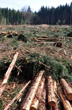 Wood logging