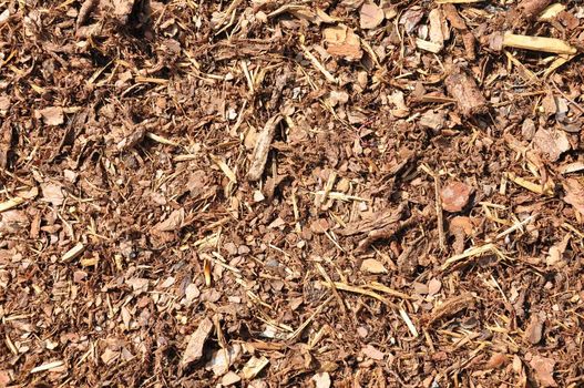 Bark mulch