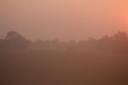 view series: foggy morning summer sunrise on meadow