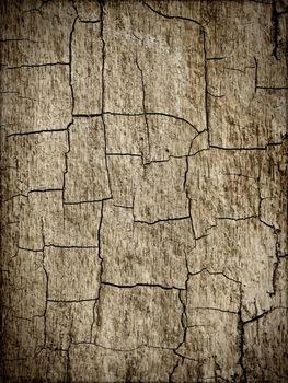 An image of a beautiful old wood background