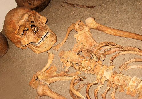 Ancient remains human on the sand background