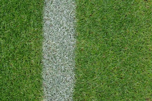 soccer field close-ups of markings of the field