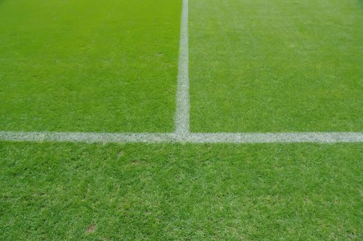 soccer field close-ups of markings of the field