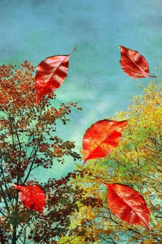 Flying leaves with blue sky and colorful trees in the background. Textured effect.