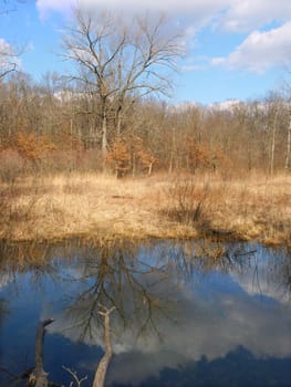 Beautiful early spring day at a small pond at Kickapoo State Park - Illinois.