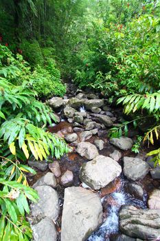 Beautiful view of the famous El Yunque Rainforest of Puerto Rico.