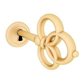 image key in the keyhole on a white background
