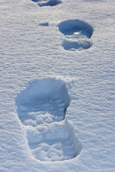 Footprints in the fresh snow