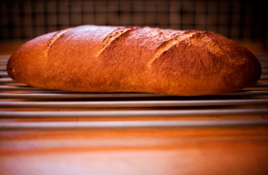 A fresh loaf of bread on a kitchen counter