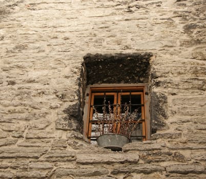 Window in an ancient wall and stalks of a pussy-willow