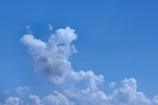 cloud formation shaped like a pig