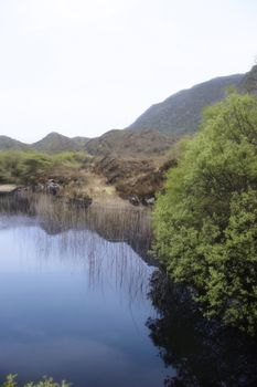 scenic view of a killarney lake