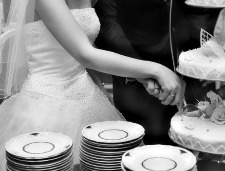 The groom and the bride cut a wedding pie