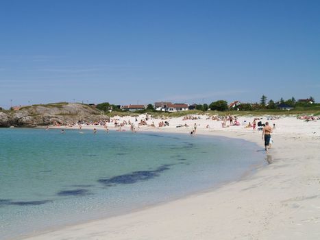 beach with people