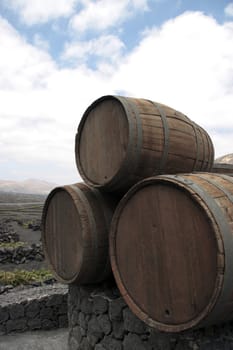 barrels in the wine region of lanzarote