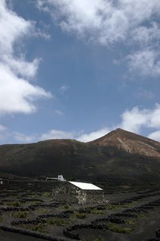 a house in the wine region of lanzarote