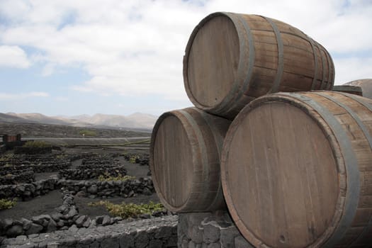 barrels in the wine region of lanzarote