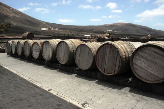 barrels in the wine region of lanzarote