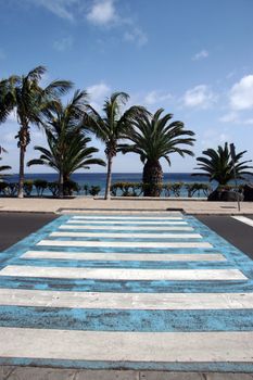 road crossing on the coast of lanzarote