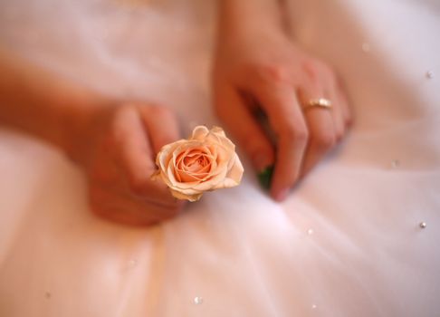 Hands of the bride with a ring and a small rose. All is dim, a flower in a zone of sharpness