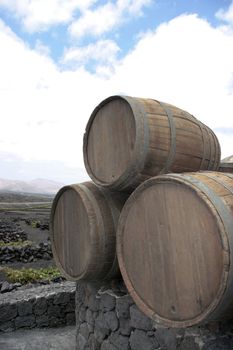 barrels in the wine region of lanzarote