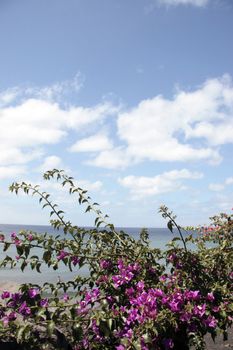 a view from the lanzarote coast line