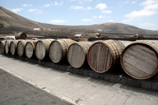 barrels in the wine region of lanzarote