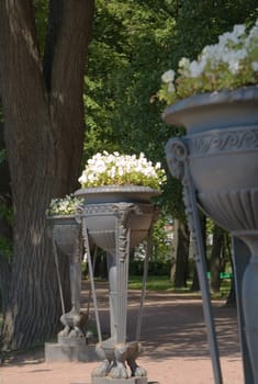 Iron bowl with flowers in summer garden