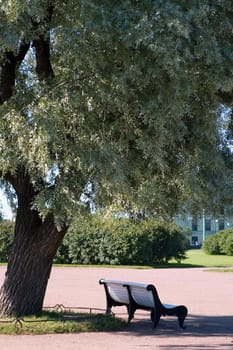 The bench in memorial garden "Marsovo Pole", St.Petersburg, Russia