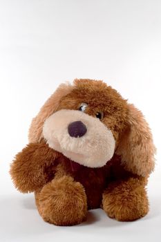 Toy dog on white background