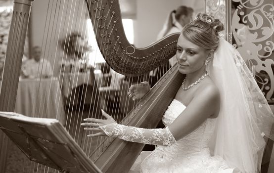 The bride plays on a string musical instrument