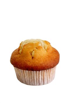 Fresh Muffin isolated on white background