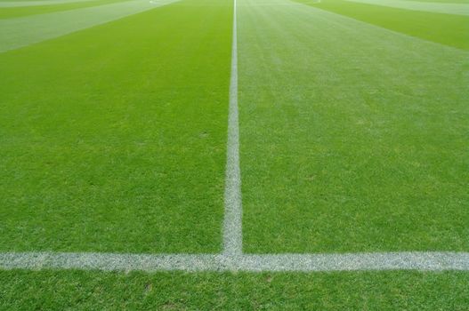 soccer field close-ups of markings of the field