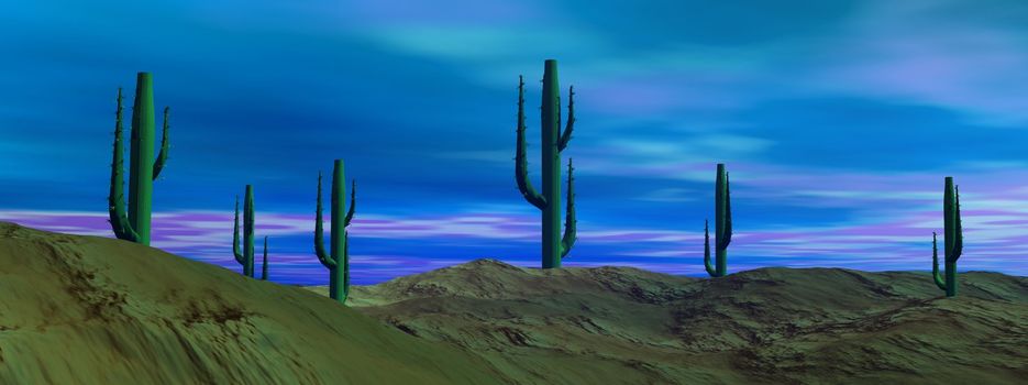 Cactus in the desert by cloudy blue morning