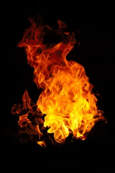 Fire isolated on a black background