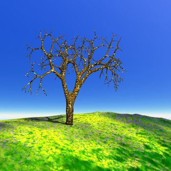 Dead tree in a green grass hill and beautiful blue summer sky