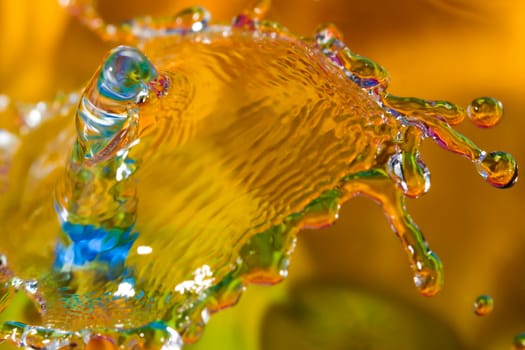 Macro photography of colorful abstract water drop creations.