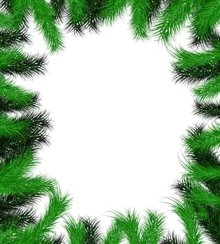 Frame from Christmas tree branch for decorate on white background