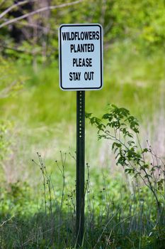 Wildflowers planted Please stay out sign.