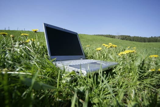 laptop in grass as a symbol for fieldwork,leisure or holiday