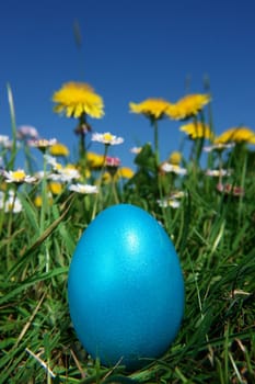 colorful Easter egg in the fresh  spring meadow