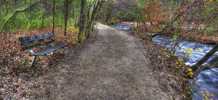 Graffiti bench on a forest trail in hdr.