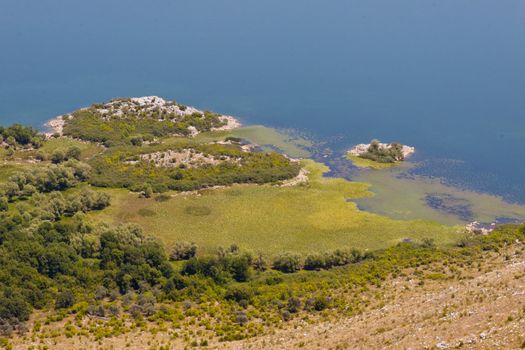 Green swamp, Skadarsko beauty lake in Montenegro, Balkans