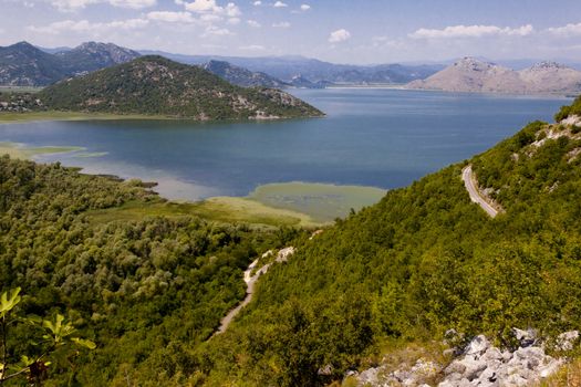 Montenegro, Balkans, Skadarsko big lake.